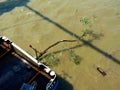 High water level on the Danube river with muddy yellow green water and drift wood