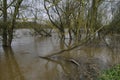 High water levels on River Severn Royalty Free Stock Photo