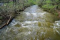 High Water at Otter Creek