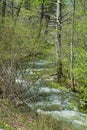 High Water at Otter Creek