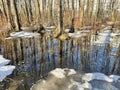 High water in the Solnechnaya Park in March. Moscow region, Balashikha city