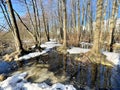 High water in the Solnechnaya Park in March. Moscow region, Balashikha city