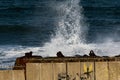 High wave splashing on rocks and breakwater