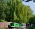 The high weeping willow and the canal boats Royalty Free Stock Photo