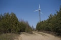 High windmill on the edge of the forest