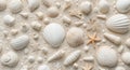 Coastal Arrangement Seashells and Starfish on Textured Sand, a BeigeWhite Composition. Royalty Free Stock Photo
