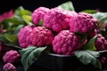 Highangle pink cauliflower arran Royalty Free Stock Photo