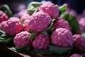 Highangle pink cauliflower arran Royalty Free Stock Photo