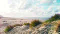 View from a dune on the beach