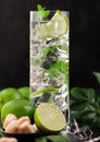 Highball glass of Mojito cocktail with ice cubes,mint and lime on black board with fresh limes and cane sugar Royalty Free Stock Photo