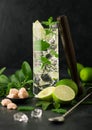 Highball glass of Mojito cocktail with ice cubes,mint and lime on black board with spoon and wooden muddler and fresh limes with Royalty Free Stock Photo