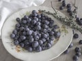 Highbush blueberries on a floral vintage plate, closeup with selective focus