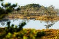 A higher ground in a wet peatland in Estonia