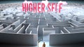 Higher self and a complicated path to it