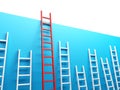 Highest Ladder