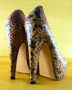 high heel snake skin shoes. Royalty Free Stock Photo