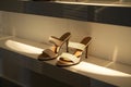 highheel summer sandals displayed on a lit shelf with shadows