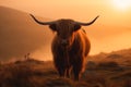 Highland cattle cow at foggy sunrise mountains. Generative AI Royalty Free Stock Photo