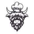 Highland cow cook head design with chef hat. Farm Animal. Cows logos or icons. vector illustration Royalty Free Stock Photo