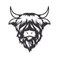 Highland cow head design on white background. Farm Animal. Cows logos or icons. vector illustration Royalty Free Stock Photo