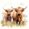 Highland Cows Standing Together in a Meadow in Summertime AI Generated