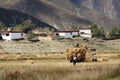 Highland farmers working in the fields