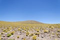 Highland landscape in Atacama desert Royalty Free Stock Photo