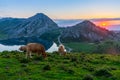 Highland pastures of Covadonga at sunset Royalty Free Stock Photo