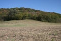 Midwest Farming in Southern Illinois V Royalty Free Stock Photo