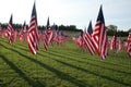 Flags of Valor St. Louis 2021 IV