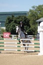 Bluegrass Festival Horse Show 2019 XX