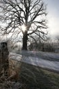 Farm Living Winter Season 2021 III Royalty Free Stock Photo