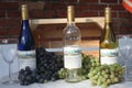 Missouri Wine Grapes 2022