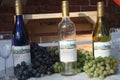 Missouri Wine Grapes 2022 I