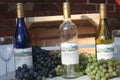 Missouri Wine Grapes 2022 II