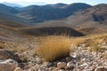 Highland stone desert. Glacier trail