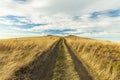 Highland valley dry yellow grass land on mountain ridge top with dirt road ho horizon background in autumn moody atmospheric