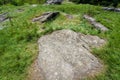 Highland view of meadows and stones Royalty Free Stock Photo