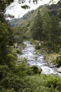 Highlands, Boquete, Chiriqui, Panama