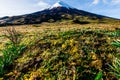 Highlands of Cotopaxi Royalty Free Stock Photo