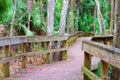 Highlands Hammock State Park Royalty Free Stock Photo
