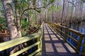 Highlands Hammock State Park Florida Royalty Free Stock Photo