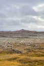 Highlands of Iceland grass land transitioning towards sparse volcanic rock landscape