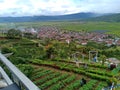 in the highlands of Kerinci Jambi Indonesia