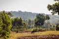 Farm Royalty Free Stock Photo