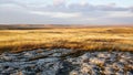 Highlands praire landscape