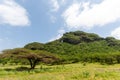 Highlands of Salalah, Dhofar, Oman