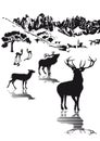 Highlands wildlife illustration
