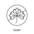 Highlight the allergic reactions associated with celery through the Celery Line Vector Icon, raising awareness about the Royalty Free Stock Photo