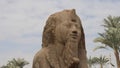 The alabaster sphinx at the open-air museum of Memphis, Egypt